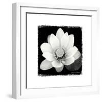 Lotus Flower II-Debra Van Swearingen-Framed Art Print