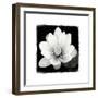 Lotus Flower II-Debra Van Swearingen-Framed Premium Giclee Print