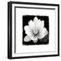 Lotus Flower II-Debra Van Swearingen-Framed Premium Giclee Print