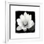 Lotus Flower II-Debra Van Swearingen-Framed Premium Giclee Print