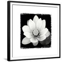Lotus Flower II-Debra Van Swearingen-Framed Premium Giclee Print