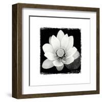 Lotus Flower II-Debra Van Swearingen-Framed Art Print