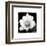 Lotus Flower II-Debra Van Swearingen-Framed Art Print