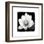 Lotus Flower II-Debra Van Swearingen-Framed Art Print