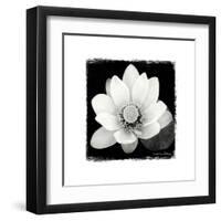 Lotus Flower II-Debra Van Swearingen-Framed Art Print