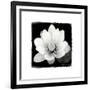 Lotus Flower II-Debra Van Swearingen-Framed Art Print