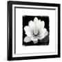 Lotus Flower II-Debra Van Swearingen-Framed Art Print