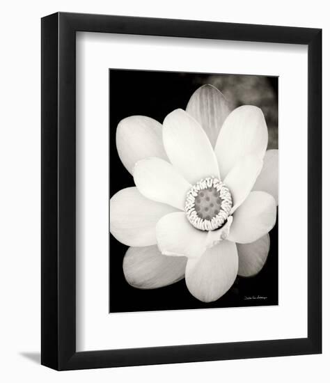 Lotus Flower III-Debra Van Swearingen-Framed Photo