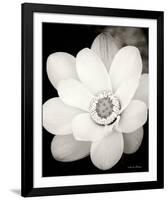Lotus Flower III-Debra Van Swearingen-Framed Photo