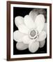 Lotus Flower III-Debra Van Swearingen-Framed Photo