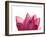 Lotus Flower in Full Bloom-Michele Molinari-Framed Premium Photographic Print