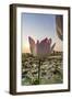 Lotus Flower (Nelumbo Nucifera), Near the Village of Kampong Tralach, Cambodia, Indochina-Michael Nolan-Framed Photographic Print