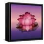 Lotus Flower over Blur Isolated Icon Design-Paulo Gomez-Framed Stretched Canvas