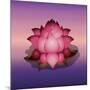 Lotus Flower over Blur Isolated Icon Design-Paulo Gomez-Mounted Art Print