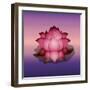 Lotus Flower over Blur Isolated Icon Design-Paulo Gomez-Framed Art Print