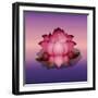 Lotus Flower over Blur Isolated Icon Design-Paulo Gomez-Framed Art Print