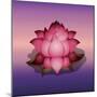 Lotus Flower over Blur Isolated Icon Design-Paulo Gomez-Mounted Art Print