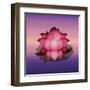 Lotus Flower over Blur Isolated Icon Design-Paulo Gomez-Framed Art Print