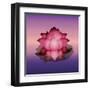 Lotus Flower over Blur Isolated Icon Design-Paulo Gomez-Framed Art Print