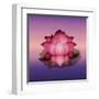 Lotus Flower over Blur Isolated Icon Design-Paulo Gomez-Framed Art Print