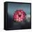 Lotus Flower over Blur Isolated Icon Design-Paulo Gomez-Framed Stretched Canvas