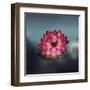 Lotus Flower over Blur Isolated Icon Design-Paulo Gomez-Framed Art Print