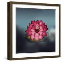 Lotus Flower over Blur Isolated Icon Design-Paulo Gomez-Framed Art Print