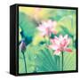 Lotus Flower Plants-kenny001-Framed Stretched Canvas