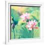 Lotus Flower Plants-kenny001-Framed Photographic Print