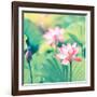 Lotus Flower Plants-kenny001-Framed Photographic Print