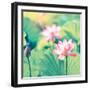 Lotus Flower Plants-kenny001-Framed Photographic Print