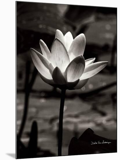 Lotus Flower VII-Debra Van Swearingen-Mounted Art Print