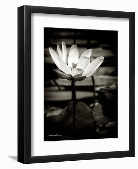 Lotus Flower VIII-Debra Van Swearingen-Framed Art Print