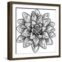 Lotus Flower Woodcut Water Lilly Engraved Etching-ChrisGorgio-Framed Photographic Print