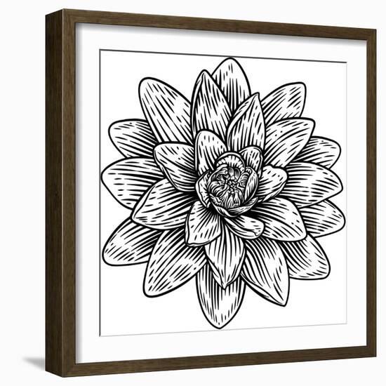 Lotus Flower Woodcut Water Lilly Engraved Etching-ChrisGorgio-Framed Photographic Print