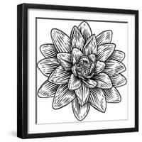 Lotus Flower Woodcut Water Lilly Engraved Etching-ChrisGorgio-Framed Photographic Print