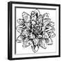 Lotus Flower Woodcut Water Lilly Engraved Etching-ChrisGorgio-Framed Photographic Print