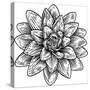 Lotus Flower Woodcut Water Lilly Engraved Etching-ChrisGorgio-Stretched Canvas
