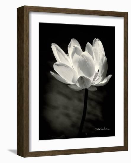 Lotus Flower X-Debra Van Swearingen-Framed Art Print