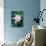 Lotus Flower-null-Photographic Print displayed on a wall