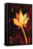 Lotus Flower-Rabi Khan-Framed Stretched Canvas