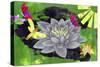 Lotus Flower-Wolf Heart Illustrations-Stretched Canvas