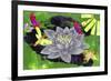 Lotus Flower-Wolf Heart Illustrations-Framed Giclee Print