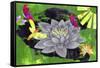 Lotus Flower-Wolf Heart Illustrations-Framed Stretched Canvas