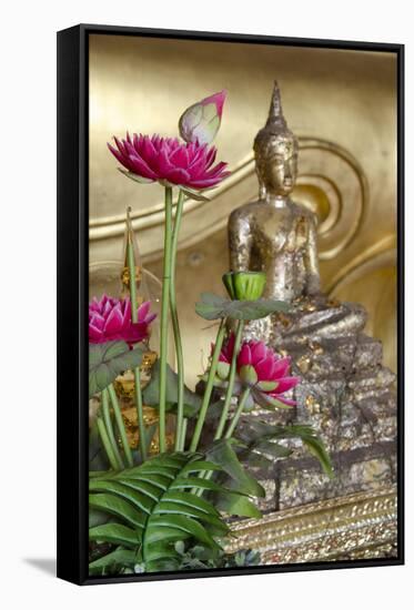 Lotus Flowers, Golden Buddha Statue, Phra Mongkonbophit, Ayutthaya, Thailand-Cindy Miller Hopkins-Framed Stretched Canvas