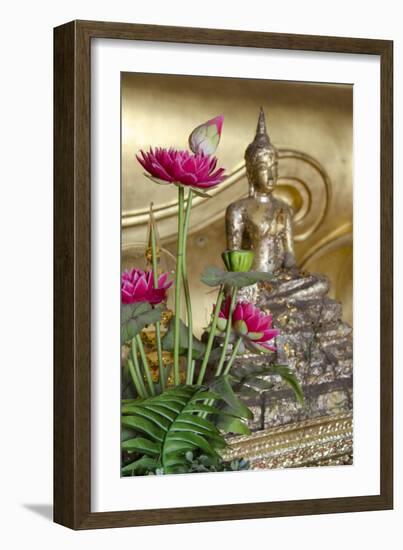 Lotus Flowers, Golden Buddha Statue, Phra Mongkonbophit, Ayutthaya, Thailand-Cindy Miller Hopkins-Framed Photographic Print