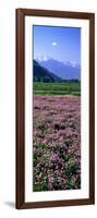 Lotus Flowers Nagano Japan-null-Framed Photographic Print