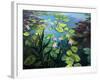 Lotus Flowers-kirilstanchev-Framed Art Print