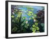 Lotus Flowers-kirilstanchev-Framed Art Print