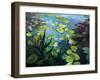 Lotus Flowers-kirilstanchev-Framed Art Print